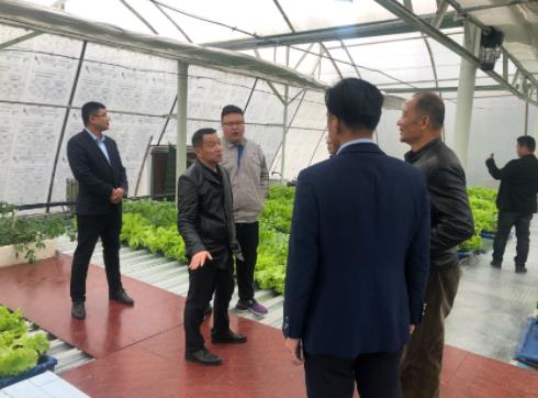 菏泽城市发展集团文化产业公司莅临文远环？疾(图1)